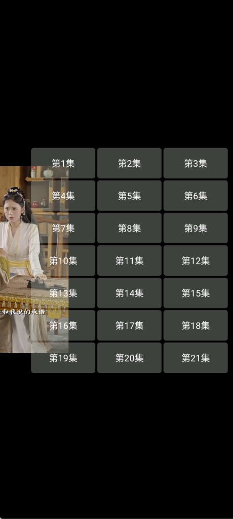 图片[1]-随缘轻量播放器类库7.2带E4A例子定制版类库-木子乐